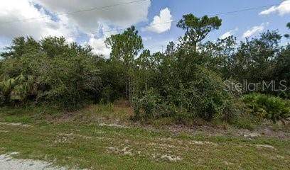 27182 Mandalay Drive - Photo 1