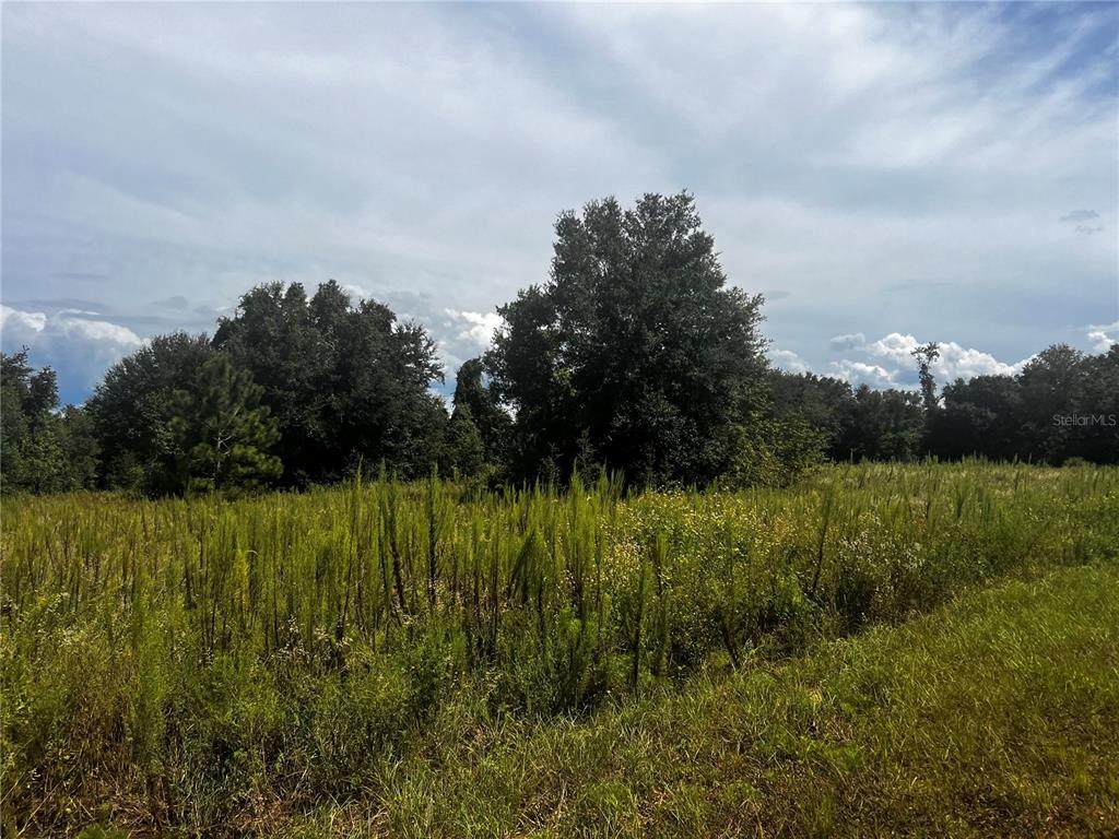 Sugarloaf Mountain Rd - Photo 1