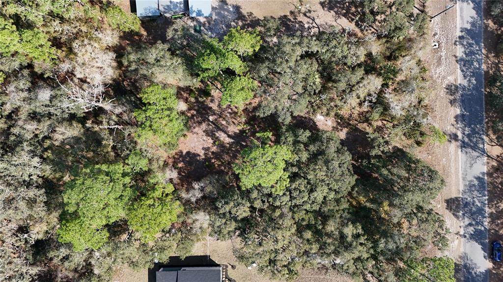 30553 Saffron Avenue - Photo 1