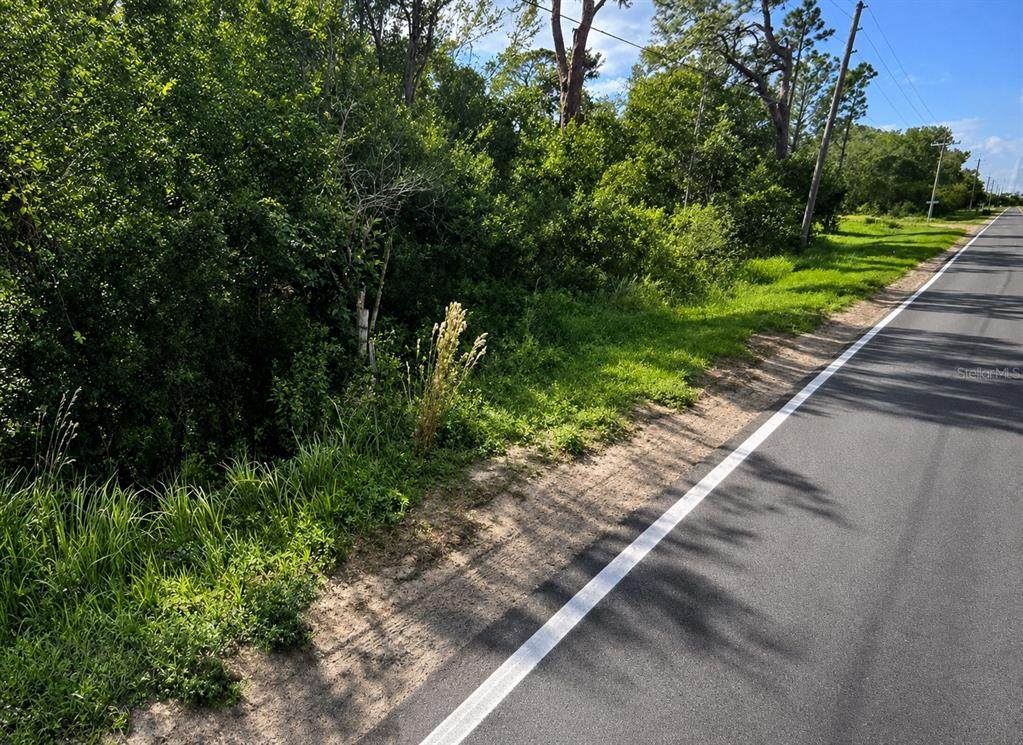  Alturas Babson Park Cutoff Road - Photo 1