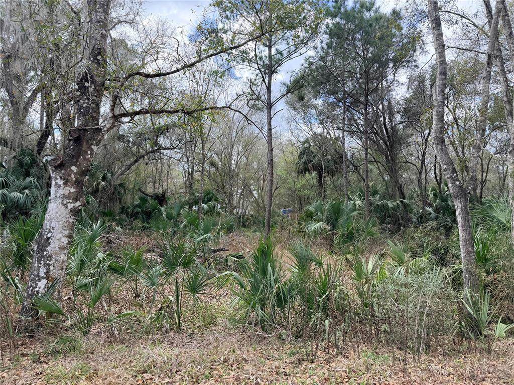 736 Sickle Point - Photo 1