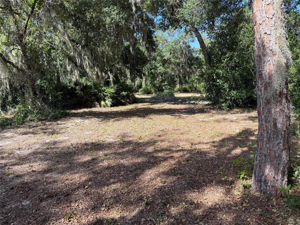3113 Bright Lake Circle - Photo 1