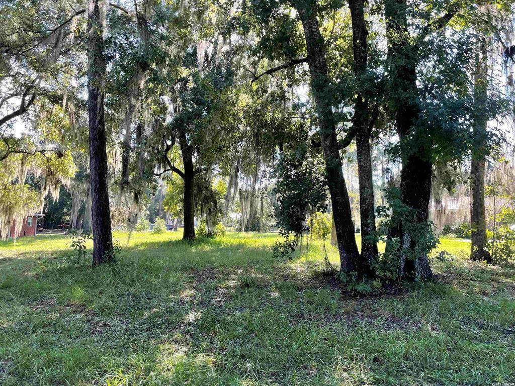 6127 Blvd - Photo 1