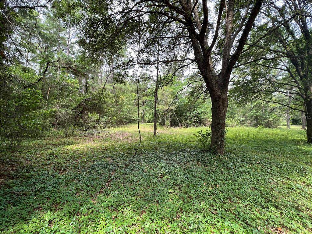 1142X Archer Road - Photo 1
