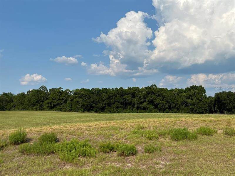 Lot 4 31ST Avenue - Photo 1