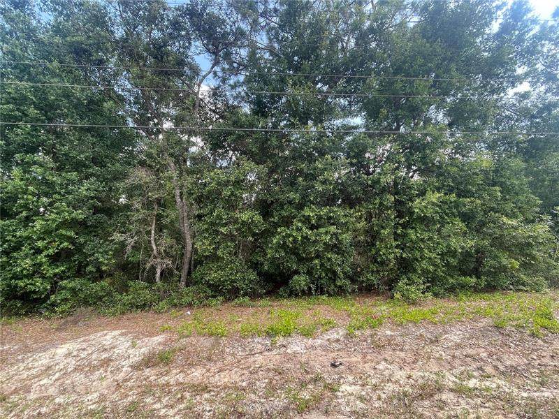 6347 Baylor Avenue - Photo 1