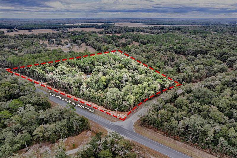 12370 Highway 351 - Photo 1