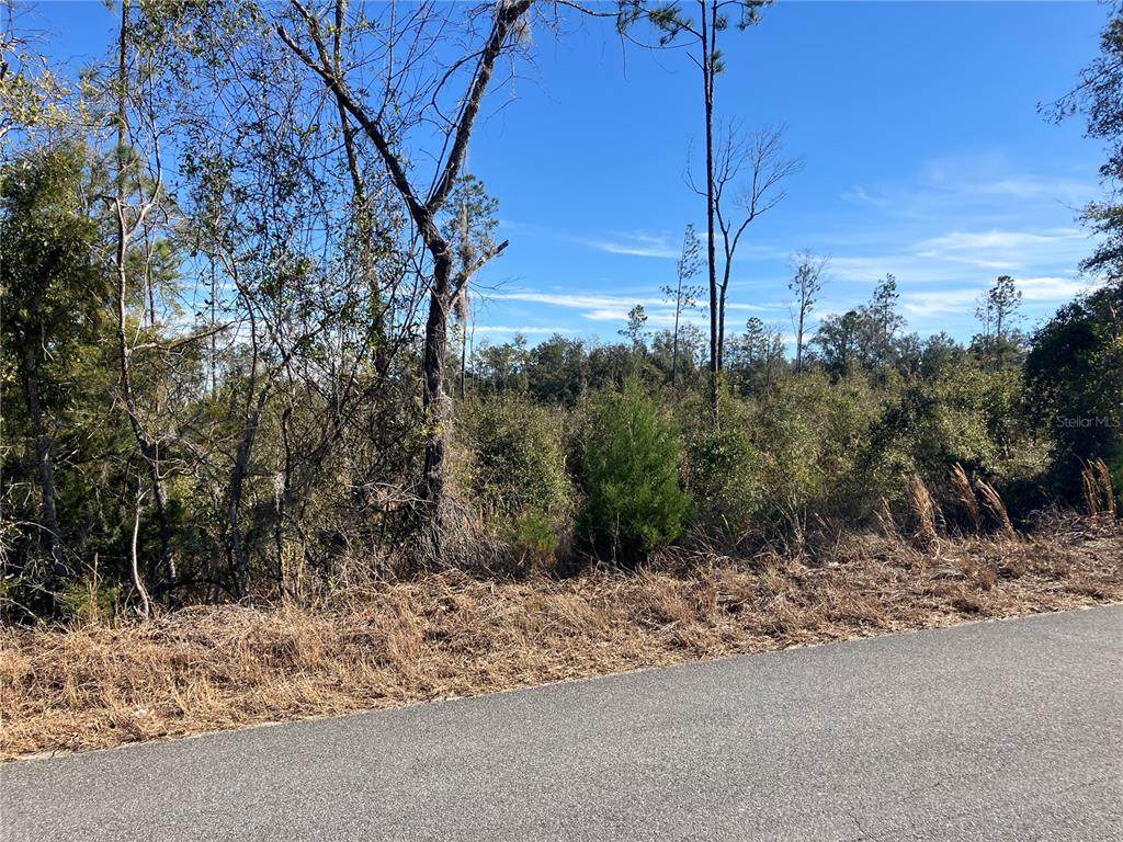 5905 298TH STREET - Photo 1