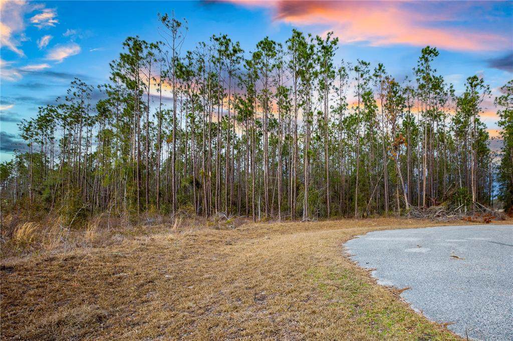  211TH Court - Photo 1