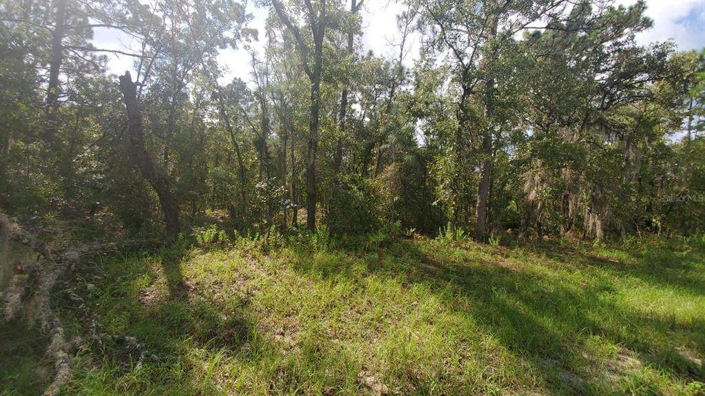 16009 57TH TERRACE Road - Photo 1