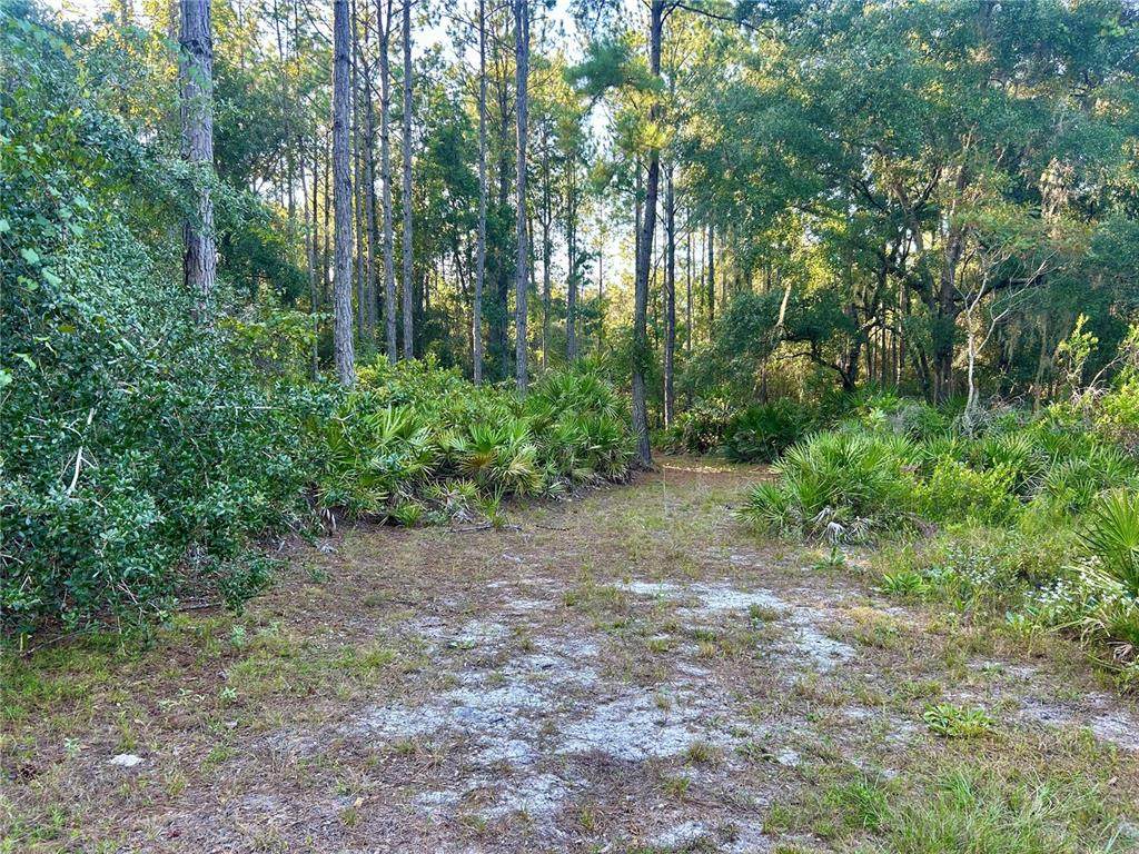 000000 225TH Street - Photo 1