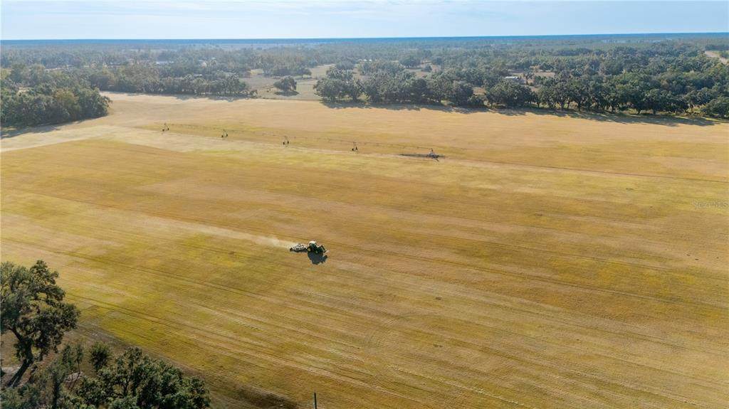 18708 County Road 250 - Photo 1