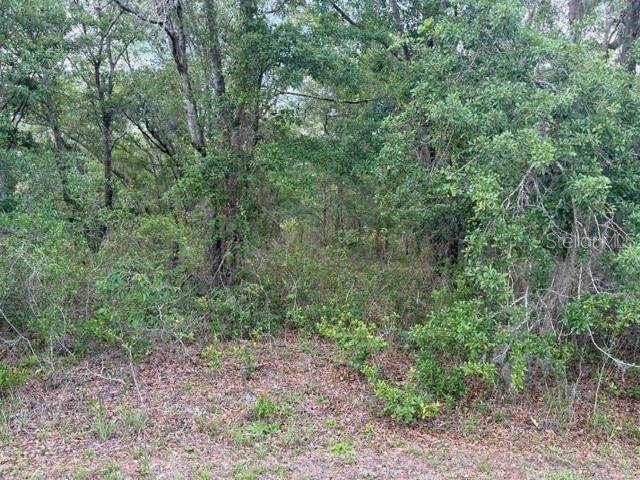 21902 69TH Place - Photo 1
