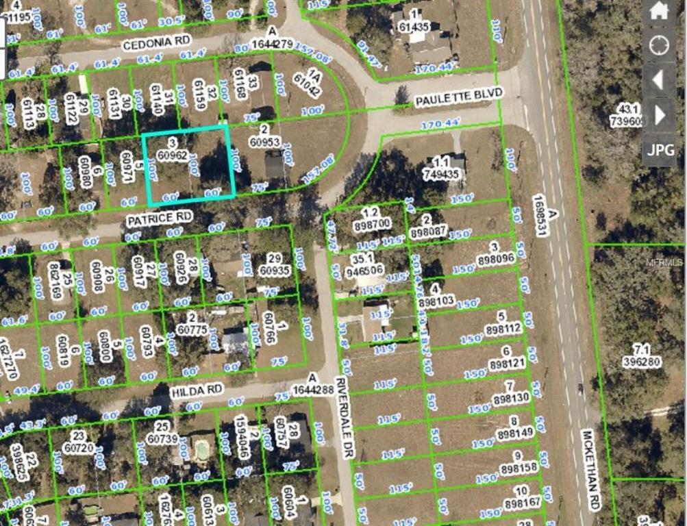 33167 Patrice Road - Photo 1