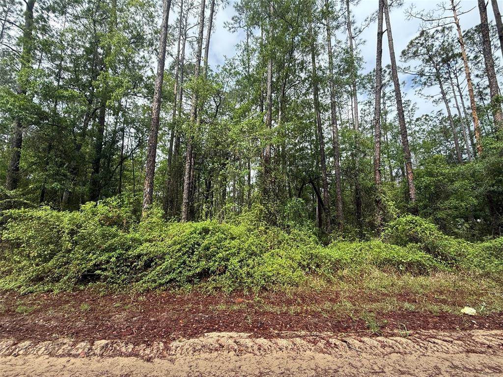 Seminole Avenue - Photo 1