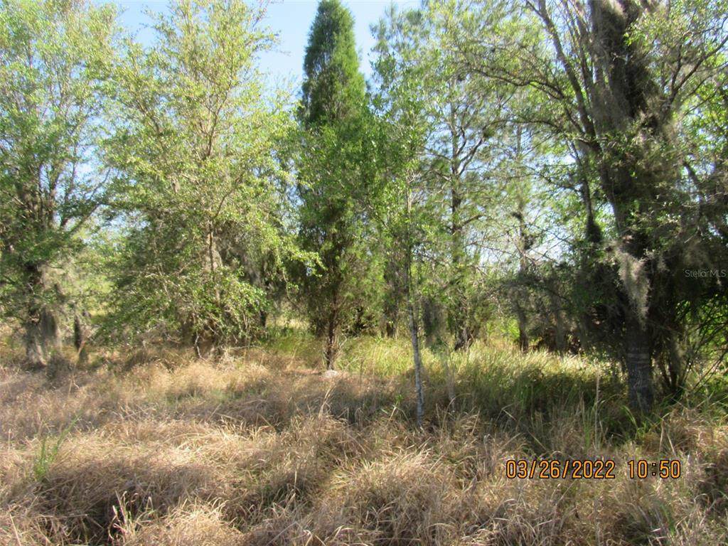 Us Hwy 37 - Photo 1