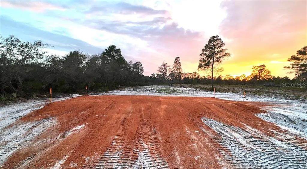  0 WOODSTORK Way - Photo 1