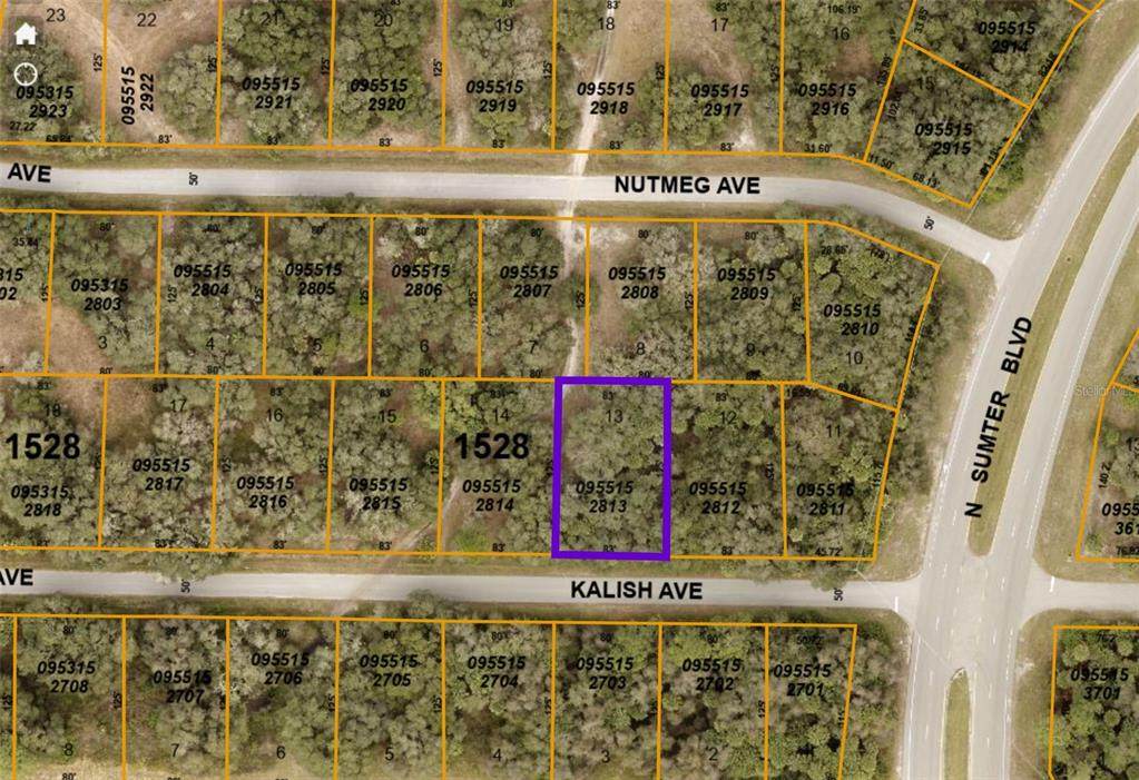 Kalish Avenue - Photo 1