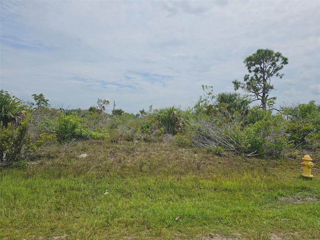 15093 Acorn Circle - Photo 1