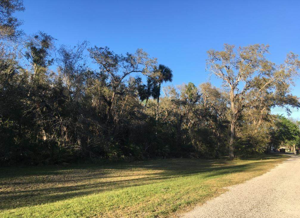 1521 Ocuan Trail - Photo 1