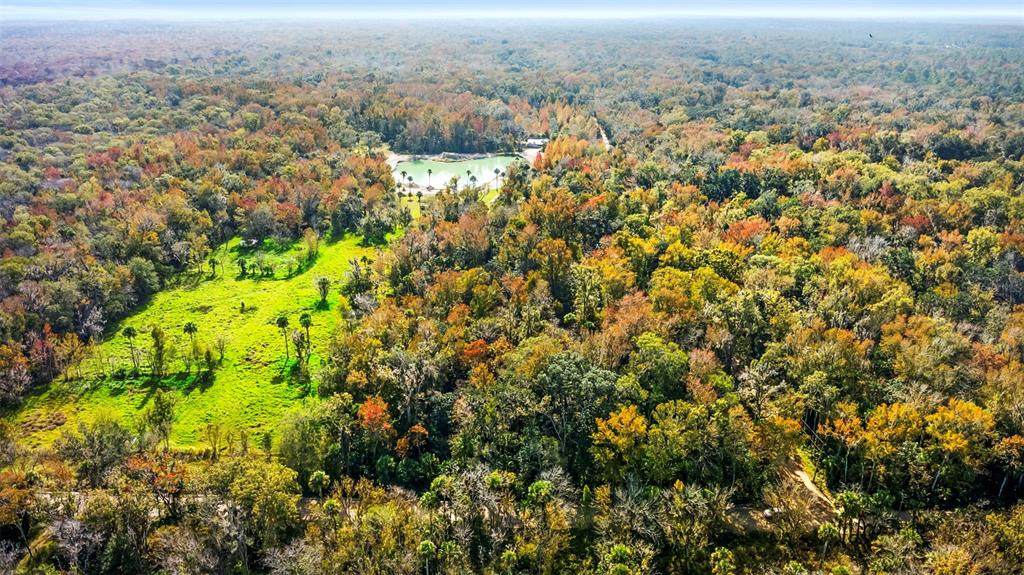  Volco Road - Photo 1