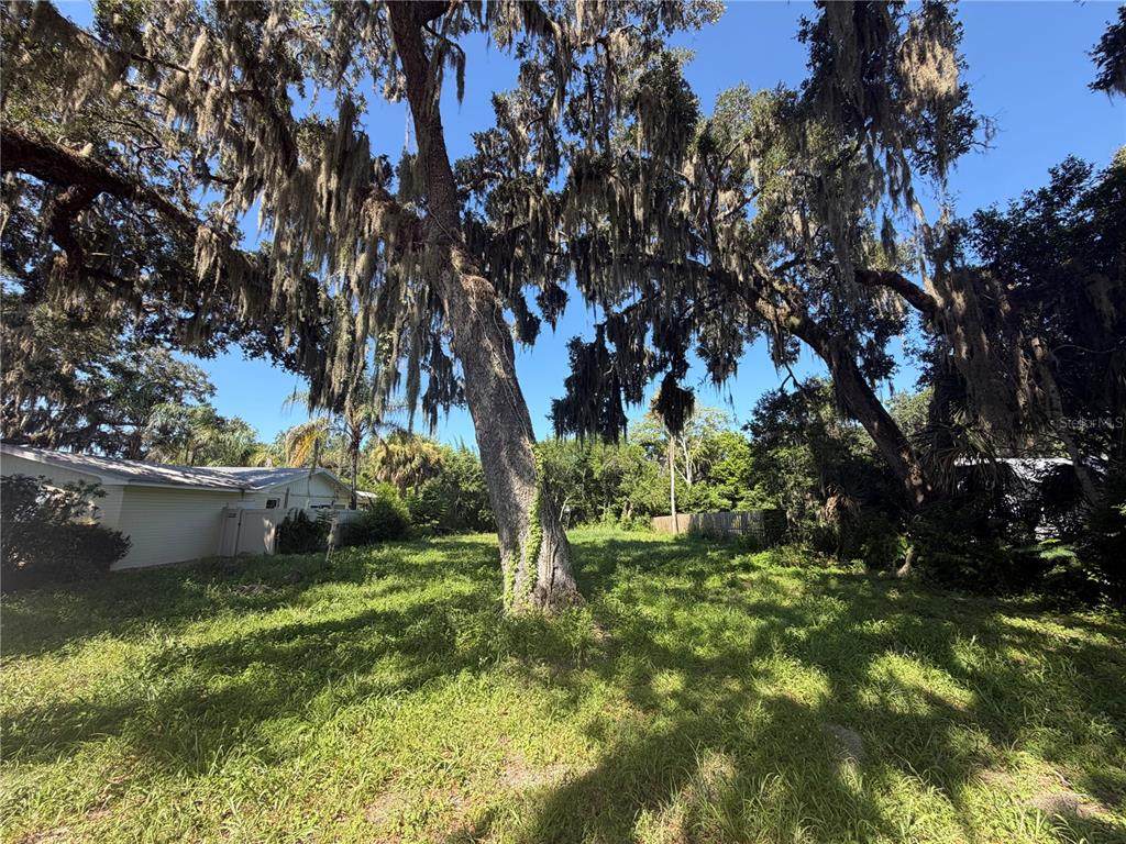 1308 Live Oak Street - Photo 1