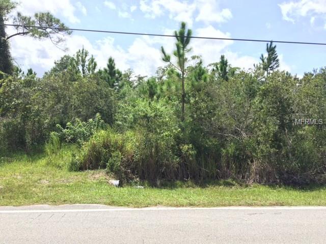 4812 Fort Christmas Road - Photo 1
