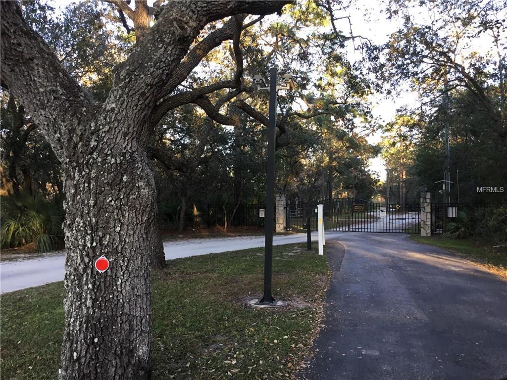 257 Robin Song Road - Photo 1