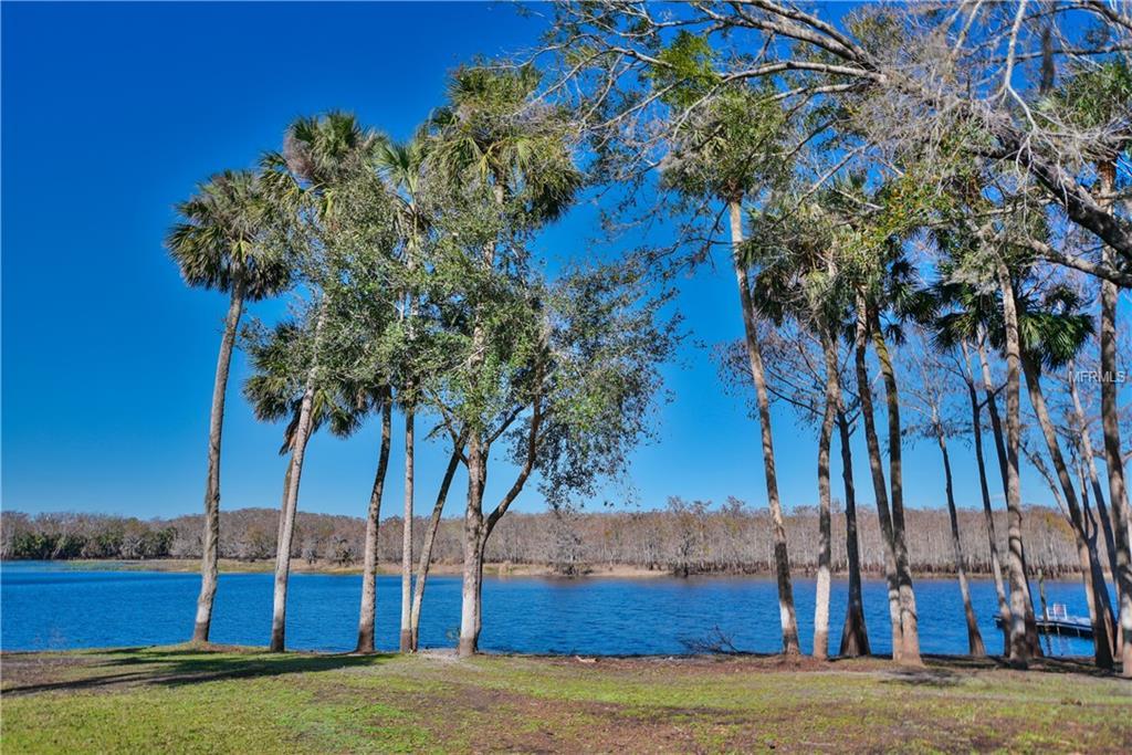 3921 Osceola Road - Photo 1