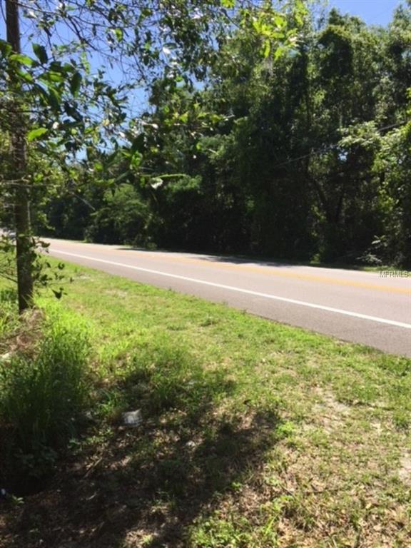 42921 State Road 19 - Photo 1