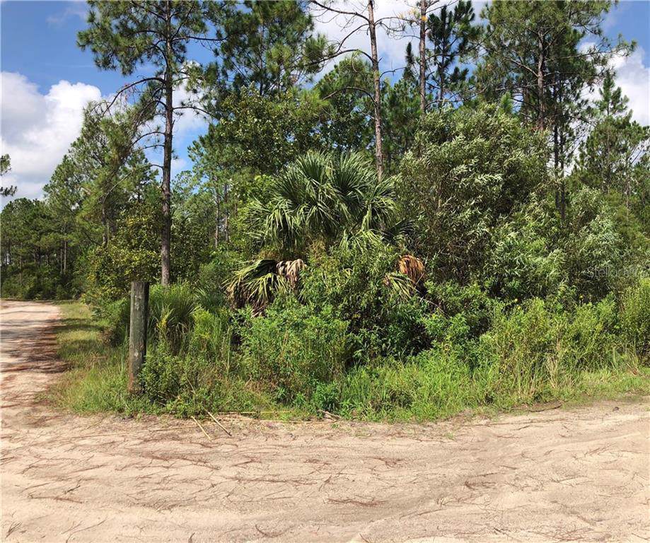 2390 Old Train Road - Photo 1