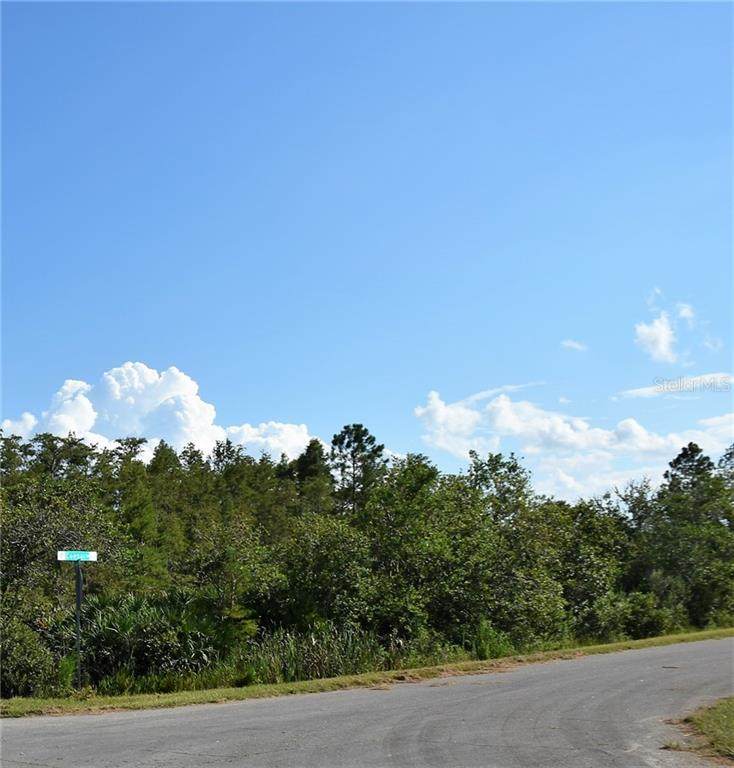 Caesar Avenue - Photo 1