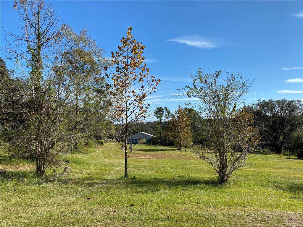 20342 Sugarloaf Mountain Road - Photo 1