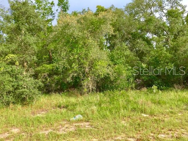 244 Begonia Place - Photo 1