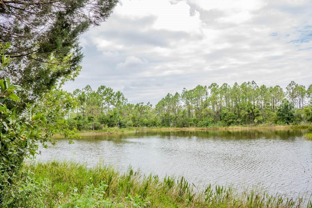 3100 Hickory Tree Road - Photo 1