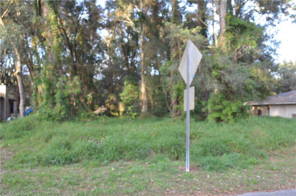 Niblic Street - Photo 1