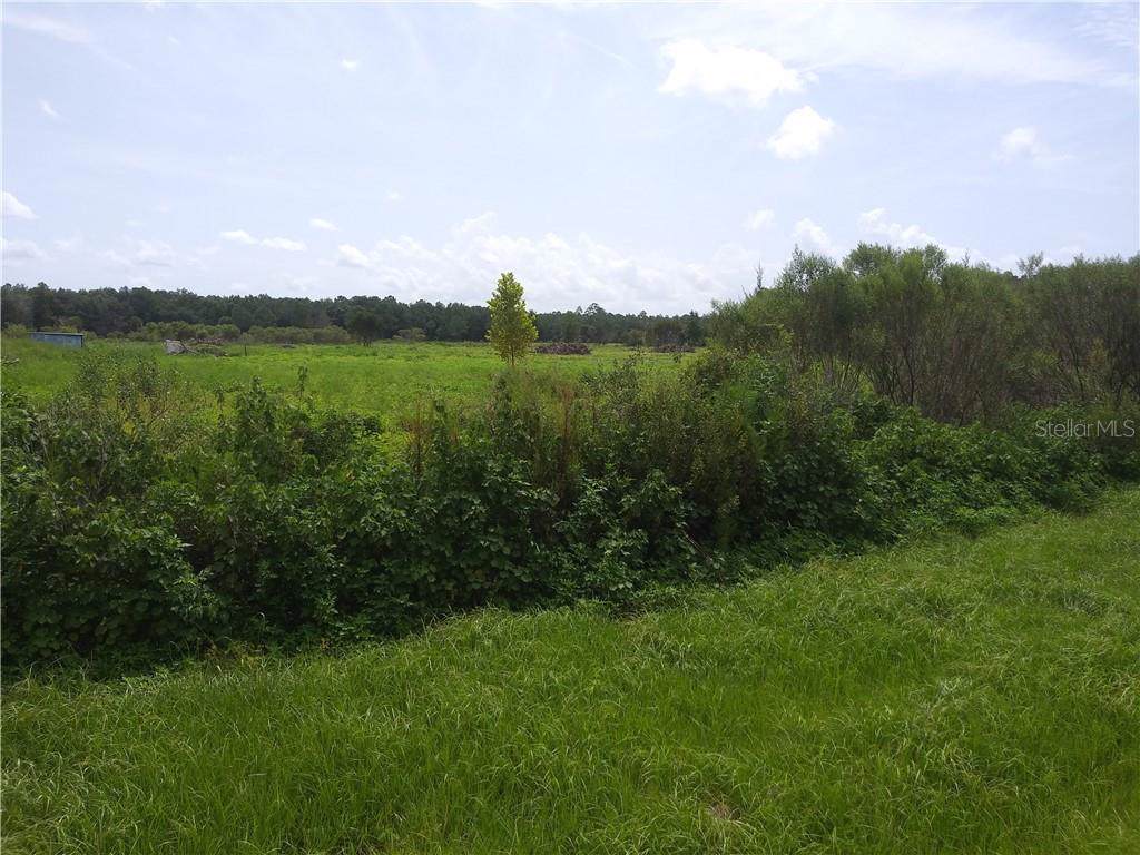 (N) Off County Rd 90 - Photo 1