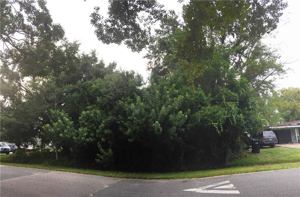 305 Cypress Street - Photo 1