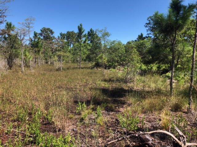 20829 Quarterly Parkway - Photo 1