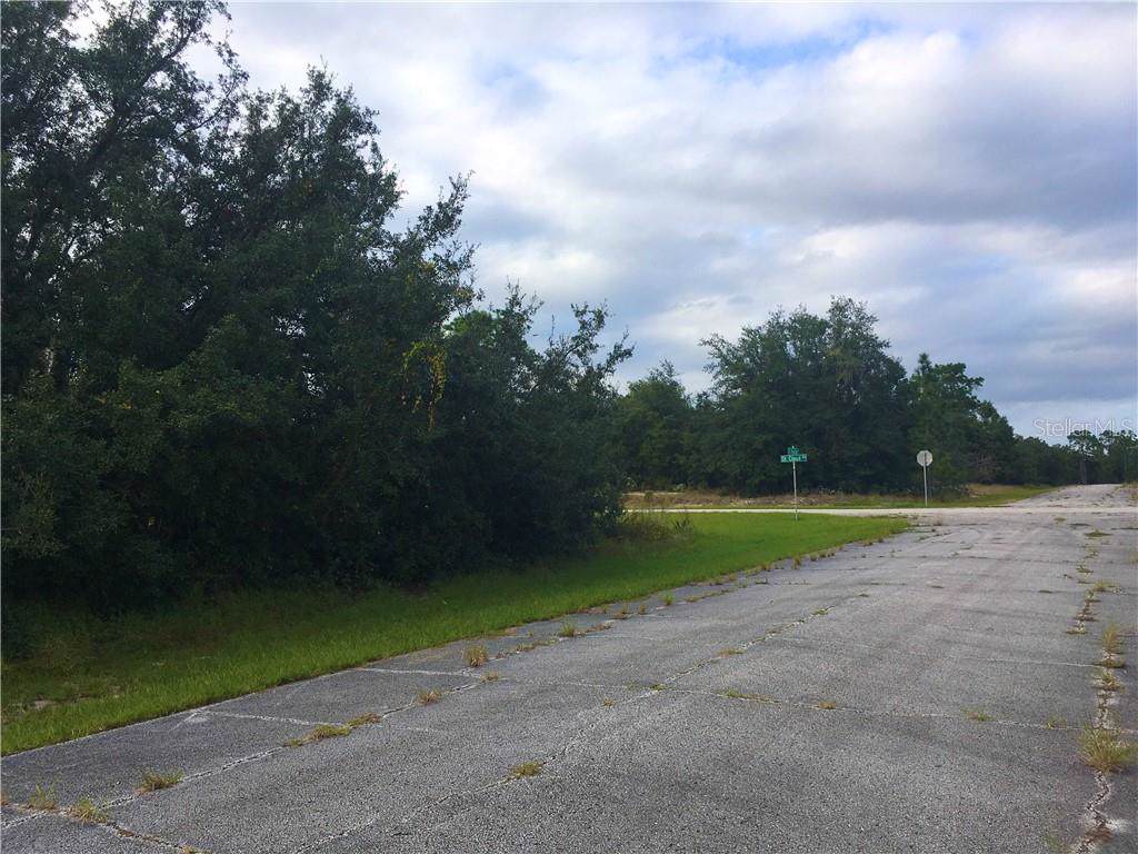 1303 St Augustine Drive - Photo 1