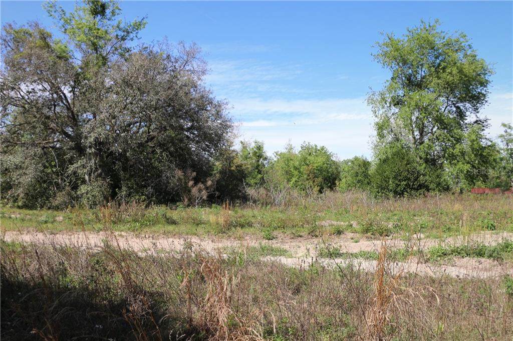 Hwy 44 Near Cr 439 Road - Photo 1
