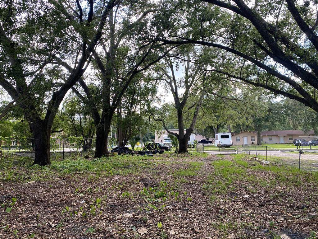 Palmetto Avenue - Photo 1