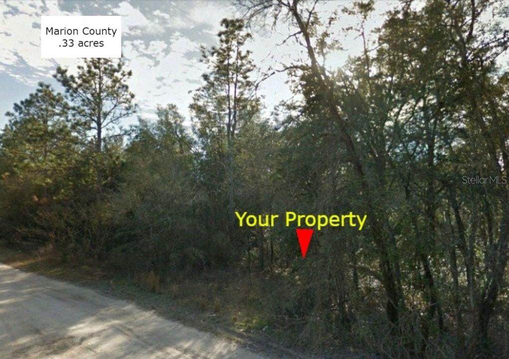 28442 284TH Court - Photo 1