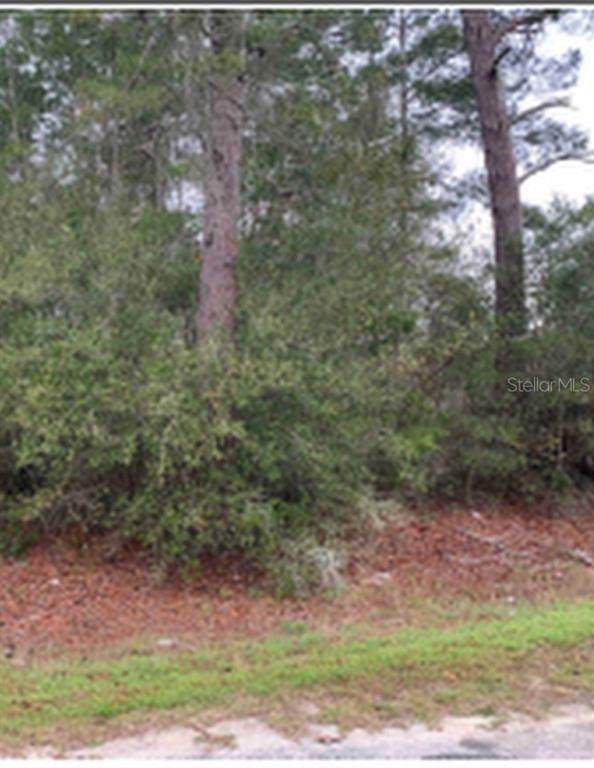 45549 Pine Street - Photo 1