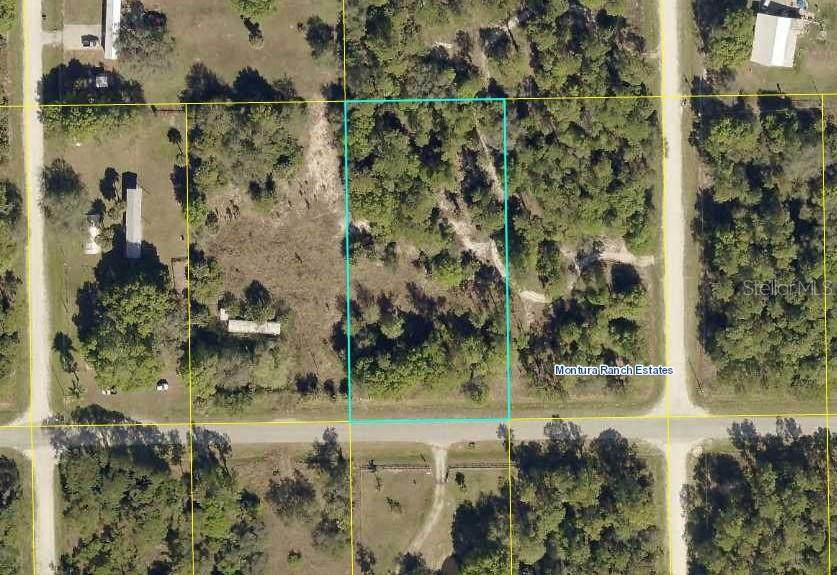 363 Hunting Club Avenue - Photo 1