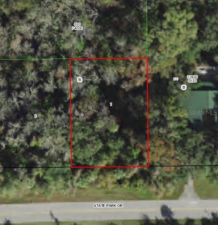 11123 State Park Street - Photo 1