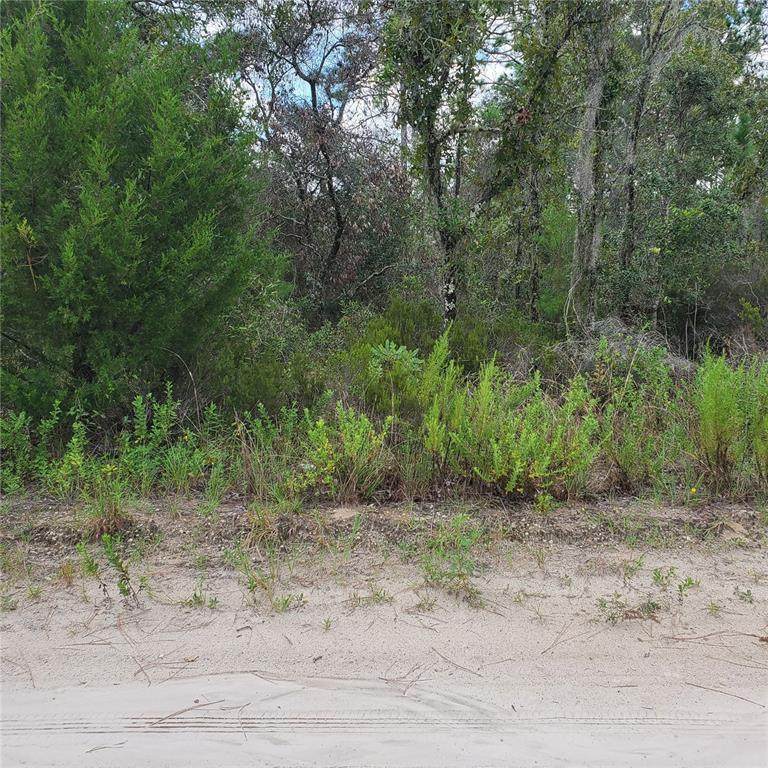  Ne 66Th Lane - Photo 1