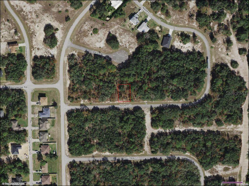 442 Naples Court - Photo 1