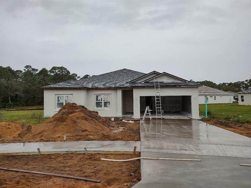 34907 Golden Tree Drive - Photo 1