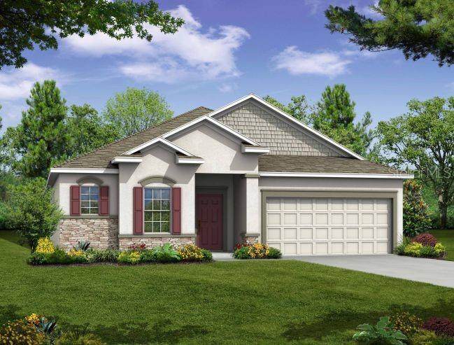 25129 Calusa Drive - Photo 1